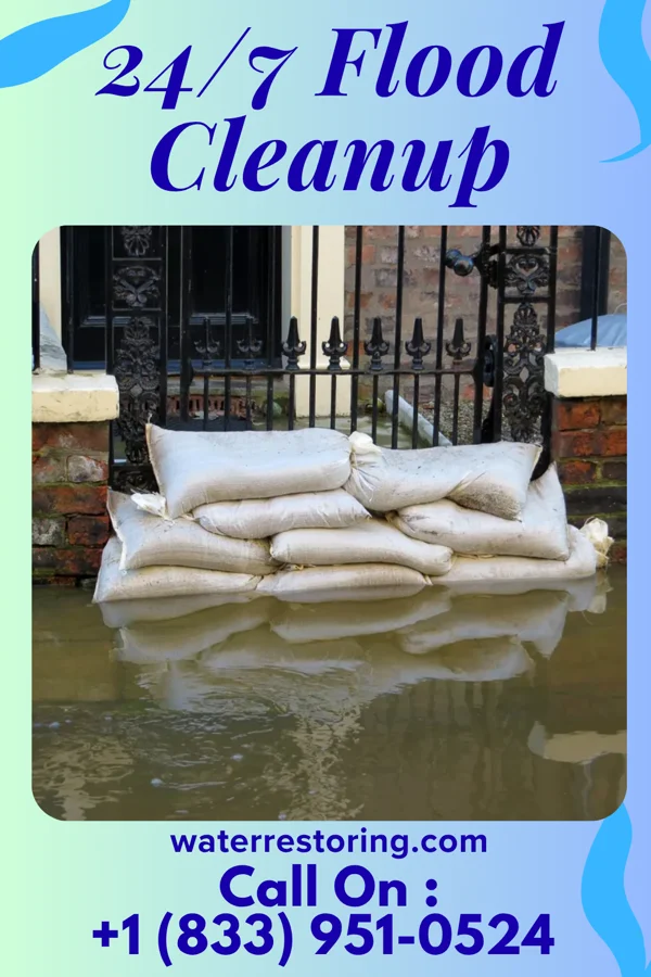 24/7 Flood Cleanup in New Munich, MN