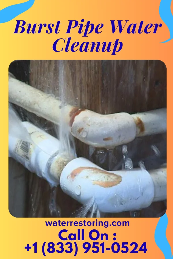 Burst Pipe Water Cleanup in New Munich, MN