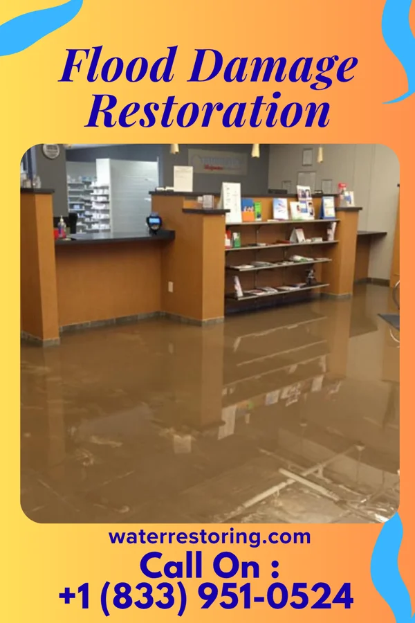 Flood Damage Restoration in New Munich, MN