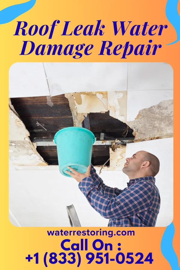 Roof Leak Water Damage Repair in New Munich, MN
