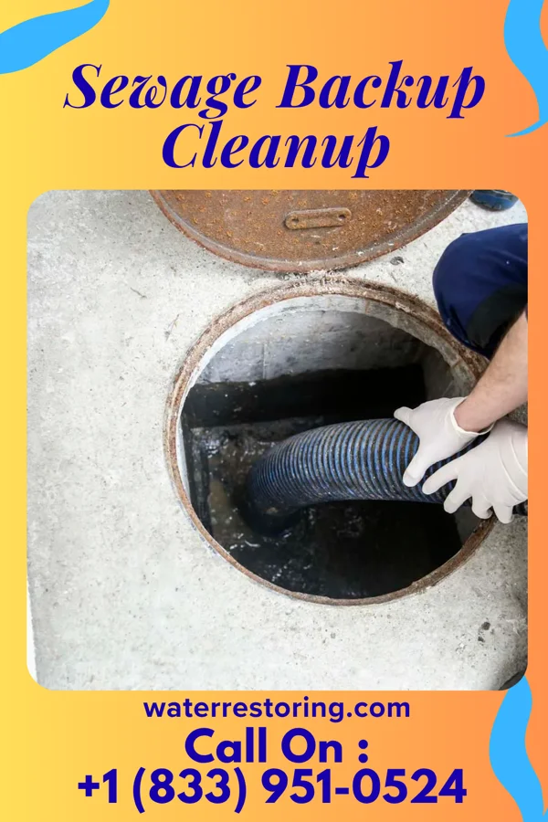 Sewage Backup Cleanup in New Munich, MN