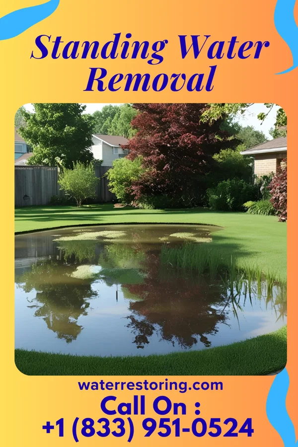 Standing Water Removal in New Munich, MN
